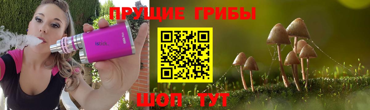 Галлюциногенные грибы MAGIC MUSHROOMS  Галлюциногенные грибы Cubensis  Нарткала  Вход с VPN 